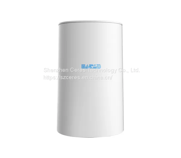 Mesh WiFi Router