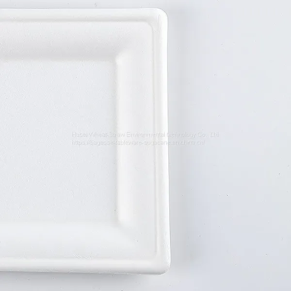 Disposable Biodegradable 10INCH Square Plate Take Away Sugarcane photo-4
