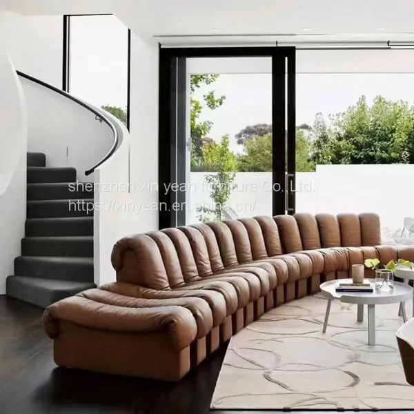 Good DS-600 De Sede Sofa for Living Room photo-3