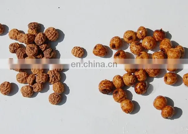Customized Professional Tigernuts Milk Production Line photo-3