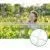 Factory Supply White Color Elastic Trellis Net For Hydroponics photo-2