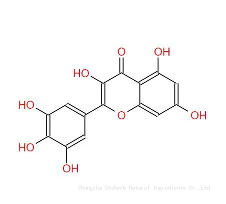 Find Complete Details About High Purity Myricetin/cas:529-44-2 photo-2