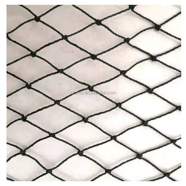 Poultry Netting Knotted Aviary Nets Anti Bird Pheasant Net photo-5