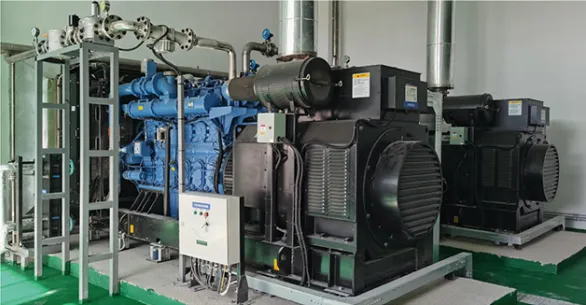 BFMP Supplies Diesel Gensets and Gas Generator Sets for the Data Center Backup Power Station photo-3