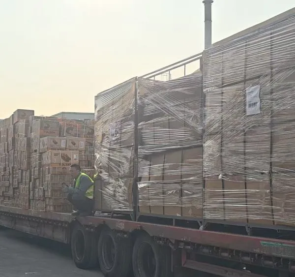 Truck Logistics Transportation From China to Bishkek, Kyrgyzstan photo-3