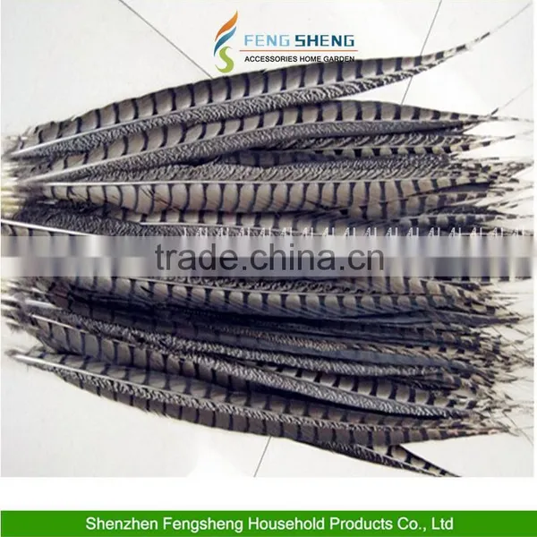 Wholesale Beautiful Natural Pheasant Feathers Fringe Craft All Wedding Favor Craft Trimmings photo-4