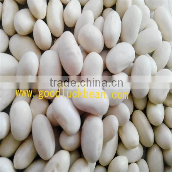 White Kidney Beans(2014 Crop) photo-6