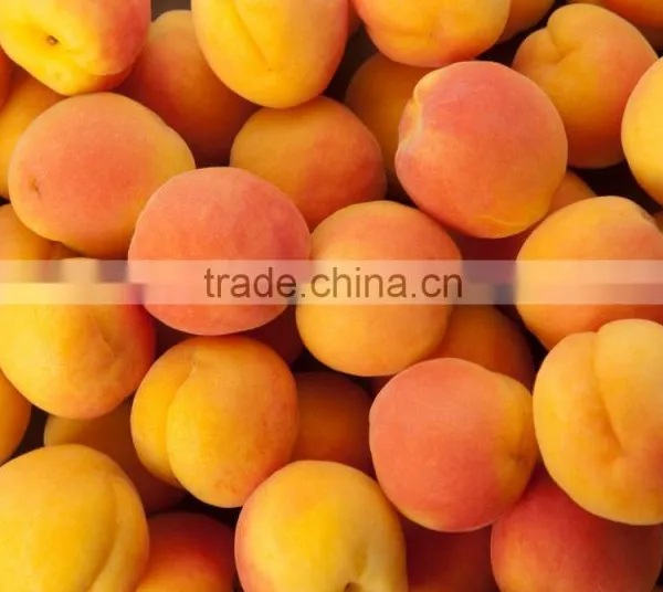 Apricots photo-4