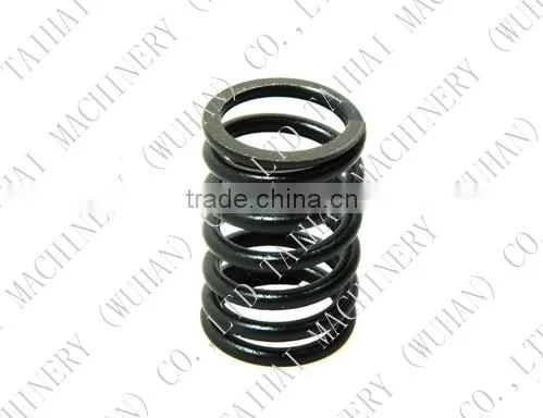 Valve Spring