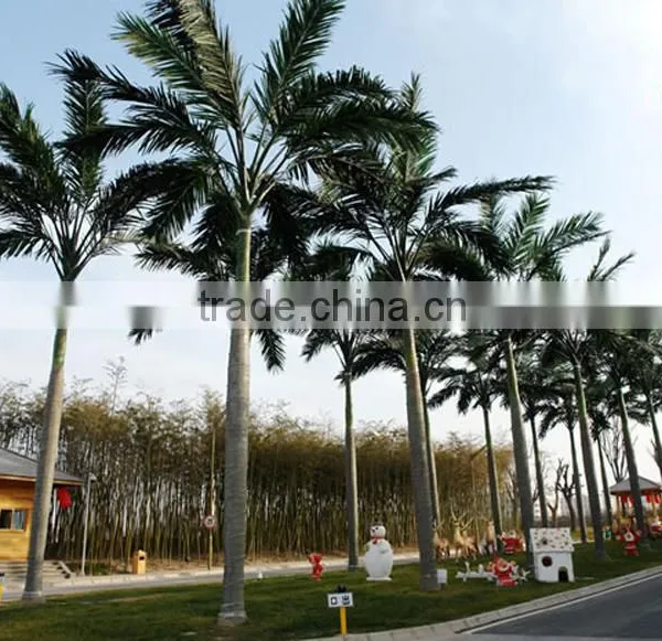 Bus Station Landscaping Big Artificial Palm Tree photo-4