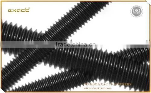 Cheap Hardware Fasteners Threaded Rod m8 M10 M12 Ball Screw photo-3