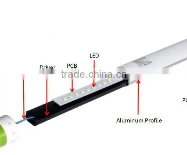 Factory Made Best Quality CE RoHs UL DLC TUV SAA Rotatable T8 Led Tube Light 2ft 4ft 5ft 600mm 1200mm 1500mm 0.6m 1.2m 1.5m photo-3