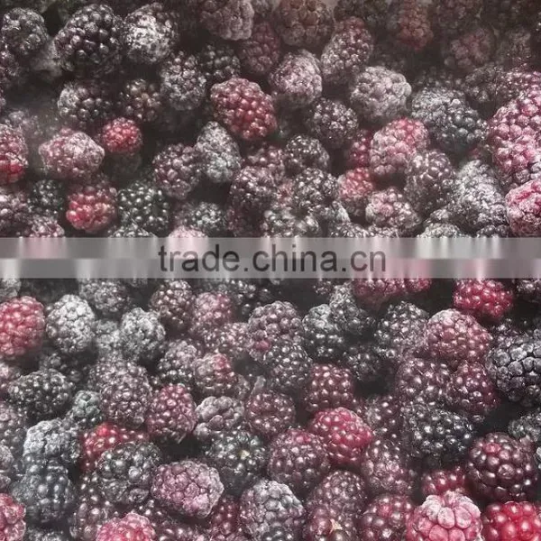 IQF Blackberry With Good Quality for Sale photo-3