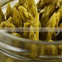Best Taste Canned Green Asparagus With Factory Price