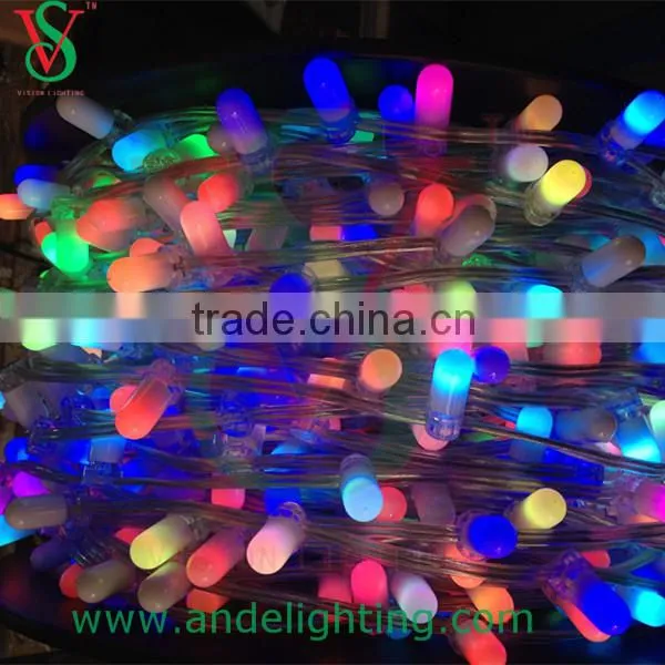 12V Copper Wire Waterproof IP65 Holiday Decoration Led Clip Light photo-5