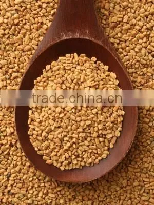Indian Spices