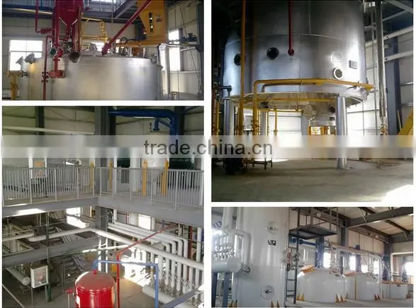 Almond Oil Extraction Machine/soya Bean Oil Extraction Machine photo-4