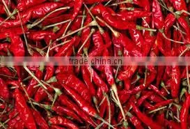 Spicy Dried Red Chilli photo-2