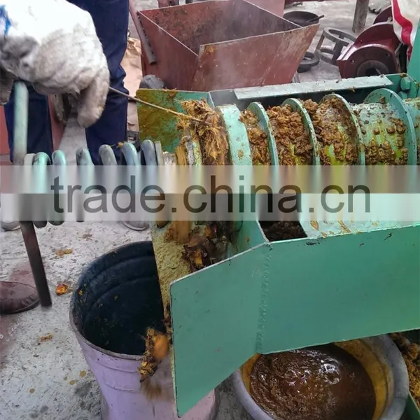 Automatic 220v Palm Kernel Oil Expeller Machine for Malaysia photo-3