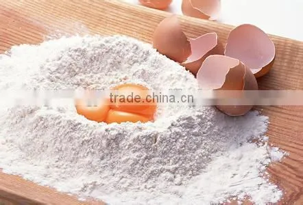 China Promotional Double Speed 20L Dough Mixer photo-4
