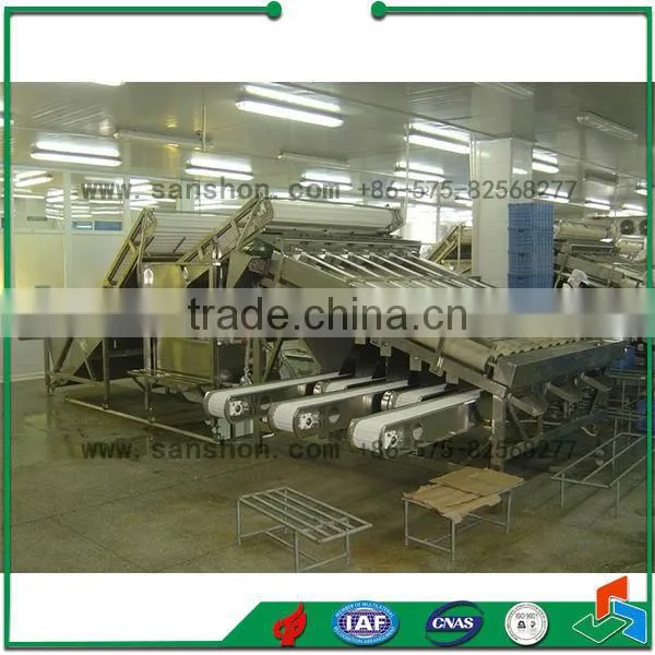 Seafood Processing Shrimp Grading Machine photo-5