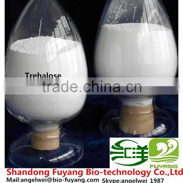 The Biggest Manufacture in China for Trehalose photo-2