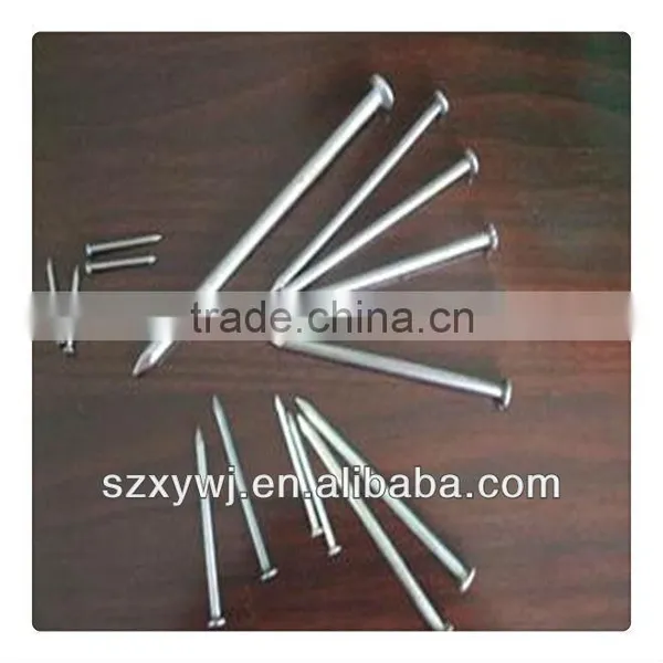 ISO Certificate Common Nails With Good Quality (supplier) photo-2