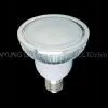Led PAR Light PAR30-6W2