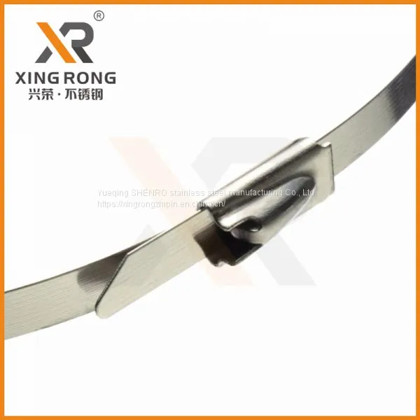 Stainless Steel Cabe Tie (self-locking)