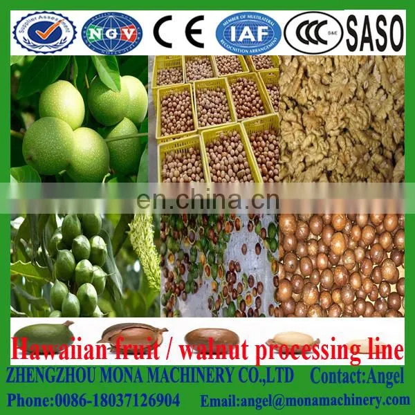 500-600kg/h High Capacity Green Walnut Peeling Machine and Washing and Walnut Shell and Kernel Separator photo-4