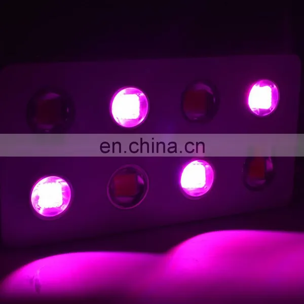 Double Switch High Power 2400W COB LED Plant Grow Light Full Spectrum Using Optic Lens High Lumen photo-6