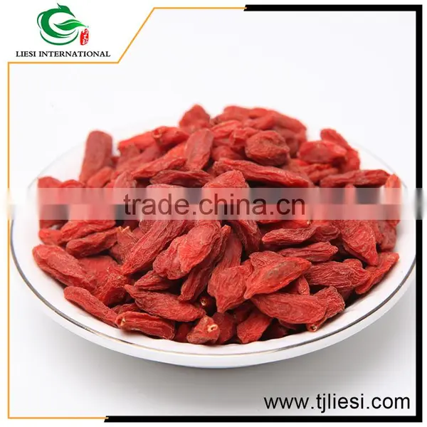 Low Cost High Quality China Goji Berry Extract photo-6