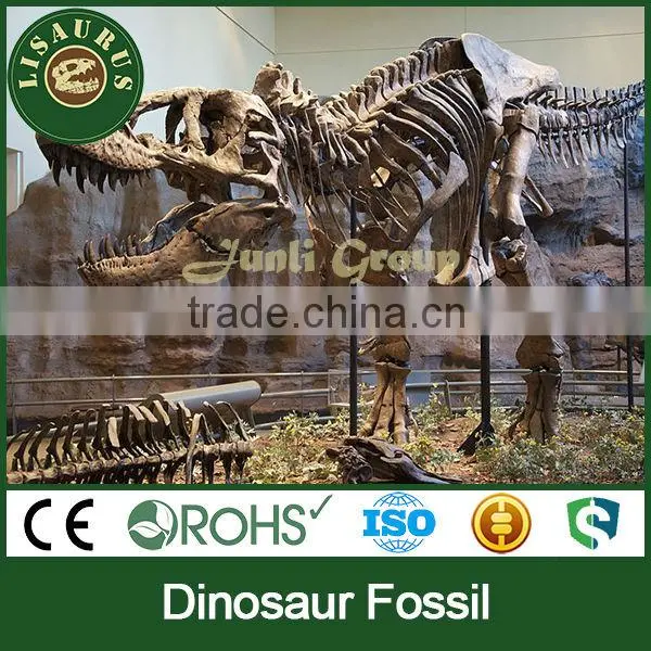 Lisaurus-I Dinosaur Skull Head Dinosaur Skull Puzzle for Dino Park Theme Park Dinosaur Skeleton Puzzles photo-3