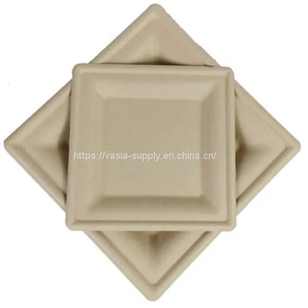 Low Price Biodegradable Disposable Bagasse ‎‎‎26 x 26 x 1.5 cm Square Dishes, for Barbecue, Birthday or Party. photo-4