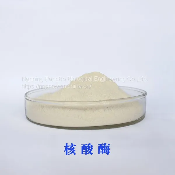 NUCLEASE CAS#: 60675-83-4 Food Grade photo-2