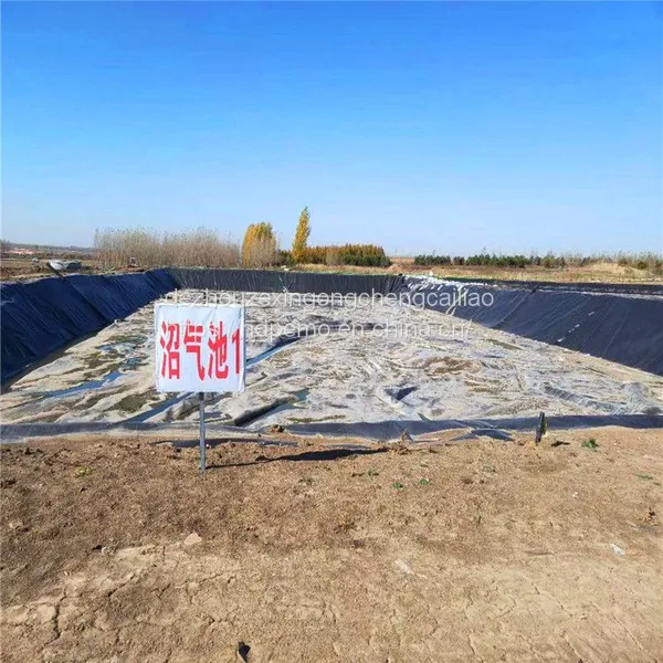 Geomembrane Hdpe Anti-seepage Membrane photo-4