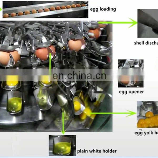 High Efficiency Pasteurized Liquid Egg Processing Line photo-5