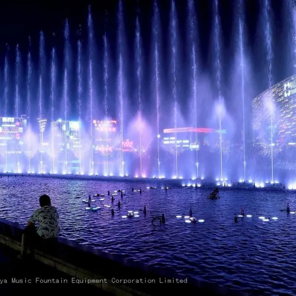 Musical Fountain Contractor photo-3