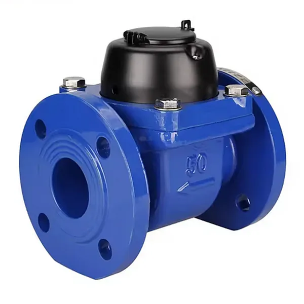 High-Precision Detachable Mechanical Woltman Water Meter for Large Size photo-4