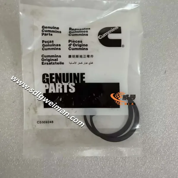 Piston Kt 3802160 for Cummins Engine Parts photo-4