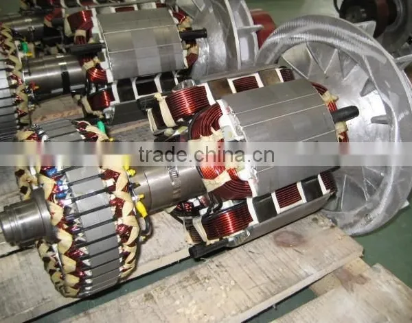 4 Poles Rotation Magnet Alternator for Sale photo-4