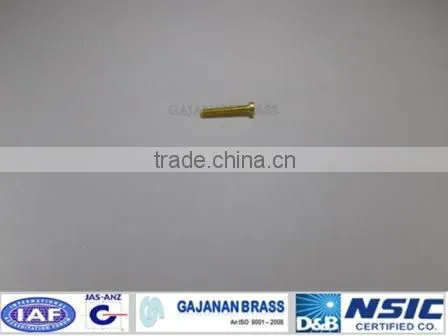 Brass Threaded Screw