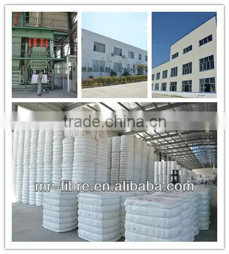 Polyester Staple Fibre photo-3