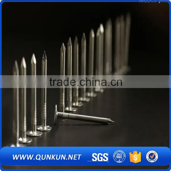 Common Steel Wire Nails High Quality photo-6