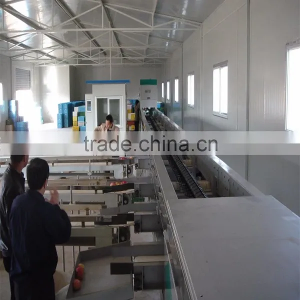 Sorter Type Strawberry Sorting Machine photo-4