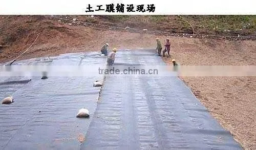 HDPE Geomembrane 0.2mm-4.0mm Geomembrane Liner photo-2