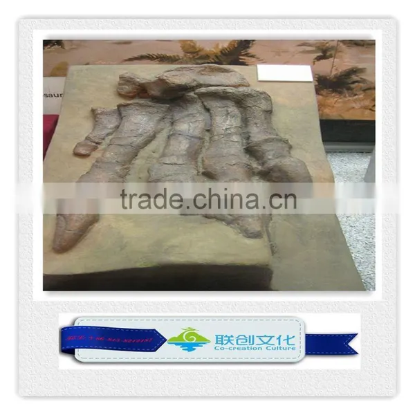 Make Dinosaur Bones Manufacturer in China photo-3