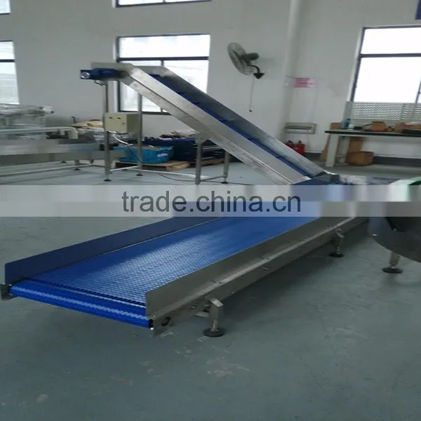 Pleastic Molded Belting Conveyor System for Heavy Duty photo-2