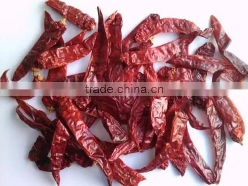 Indian Chilli for Sale photo-2