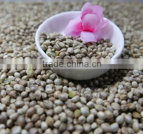 Hemp Seeds 2016 Crop photo-4